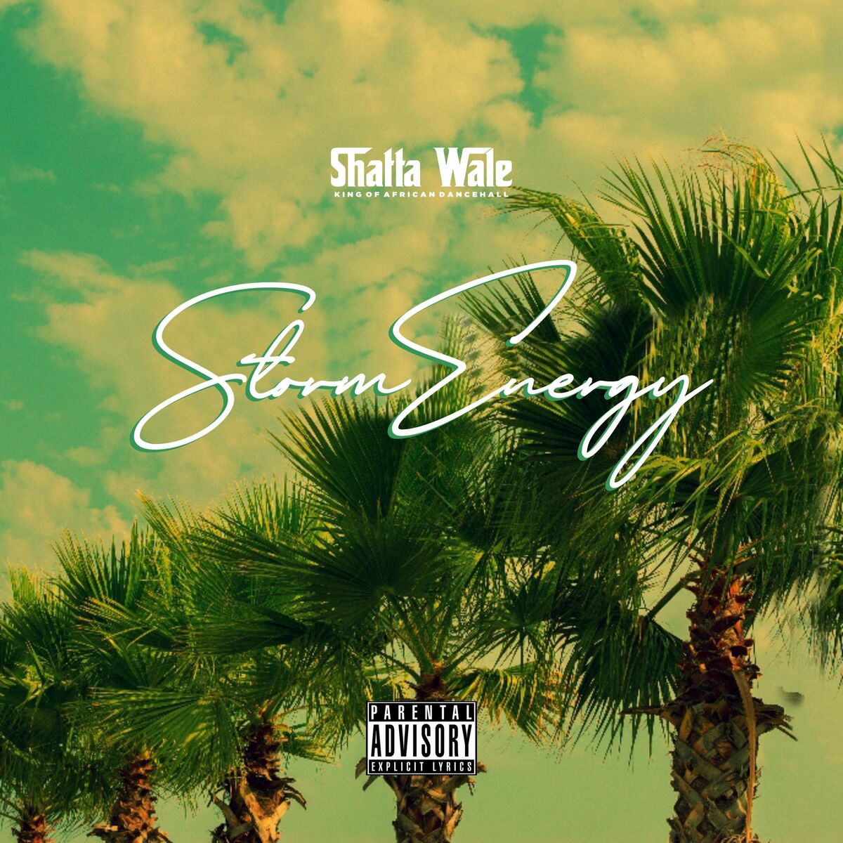 Shatta Wale – Storm Energy