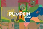 Mike Akox - Pumpkin Remix ft Kwaku DMC