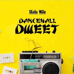 Shatta Wale - Dancehall Dweet