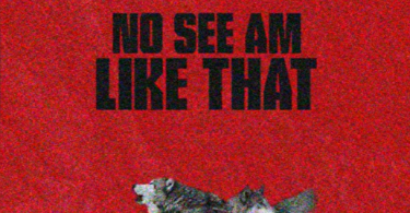 Shatta Wale - No See Am Like That