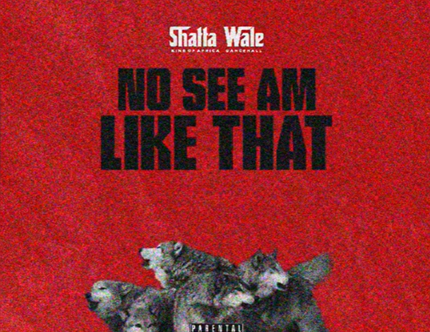 Shatta Wale - No See Am Like That