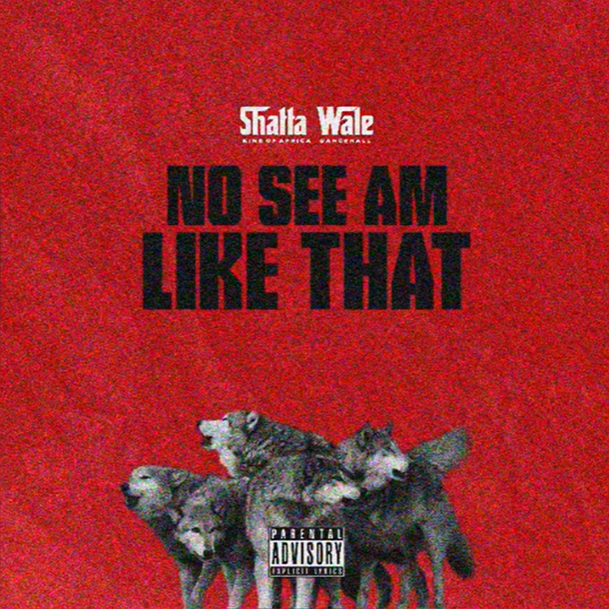 Shatta Wale – No See Am Like That