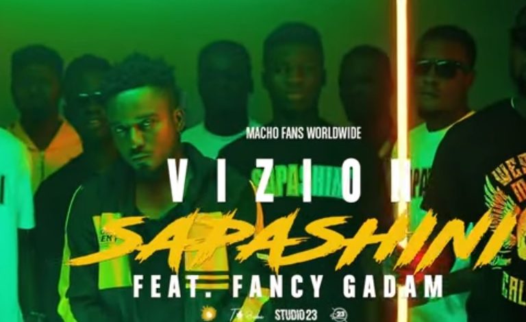 Vizion - Sapashini Ft Fancy Gadam