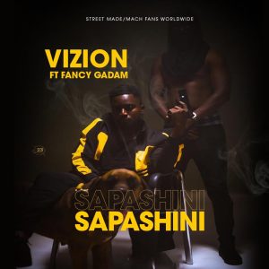 Vizion - Sapashini Ft Fancy Gadam