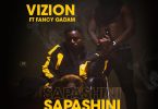 Vizion - Sapashini Ft Fancy Gadam