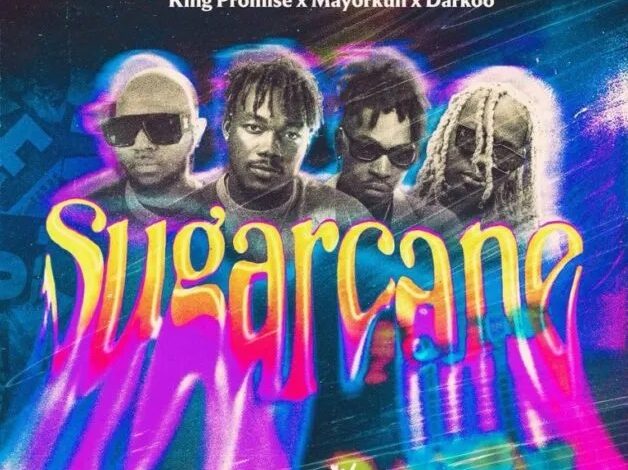 Camidoh – Sugarcane (Remix) Ft. King Promise x Mayourkun & Darkoo
