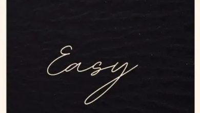 Ice Prince – Easy (Prod By RunCheck)