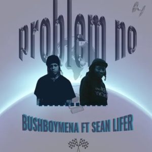 BushBoyMena – Problem No Ft Sean Lifer