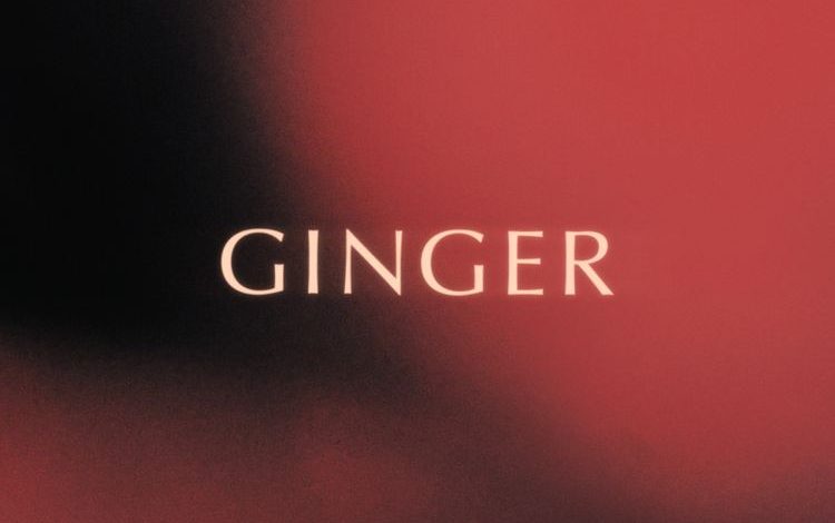 King Promise - Ginger (Prod By Jae5)