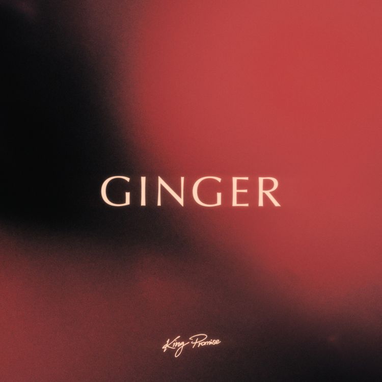 King Promise - Ginger (Prod By Jae5)