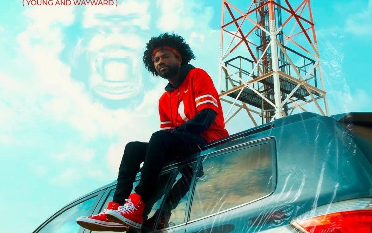 Kwaku DMC - Y.A.W (Young And Wayward)