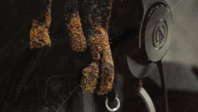 Quamina MP Attraction (Pinini)