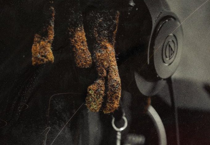 Quamina MP Attraction (Pinini)