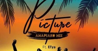 Samini - Picture (Amapiano Mix) Ft Efya