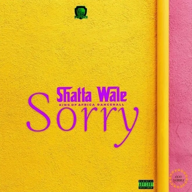Shatta Wale Sorry Oneclickghana com mp3 image