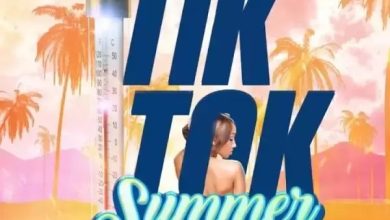 Vybz Kartel Tik Tok Summer mp3 image
