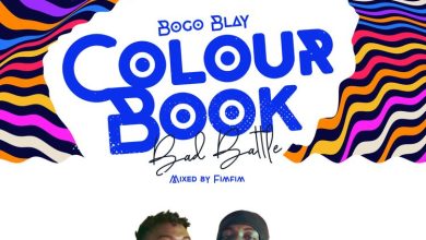 Bogo Blay - Color Book (Bad Battle)