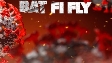 Demarco - Bat Fi Fly Ft Sonovic