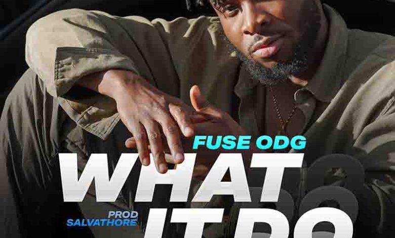 Fuse ODG - What It Do