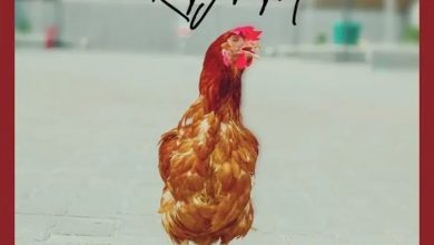 Masterkraft - Chicken (Amapiano Rhythm)