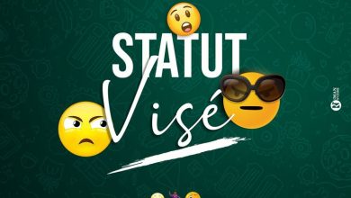 Serge Beynaud - Statut Visé