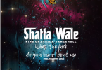 Shatta Wale - What The Fvck Do You Know Bout Me