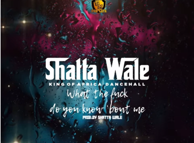 Shatta Wale - What The Fvck Do You Know Bout Me