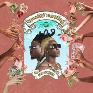 ZeeTM - Special Feeling