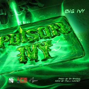 Big Ivy - Poison Ivy (Mama Dollarz Reply)