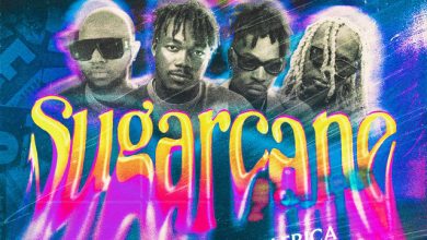 Camidoh - Sugarcane (Sped Up Remix) ft. King Promise, Mayorkun & Darkoo