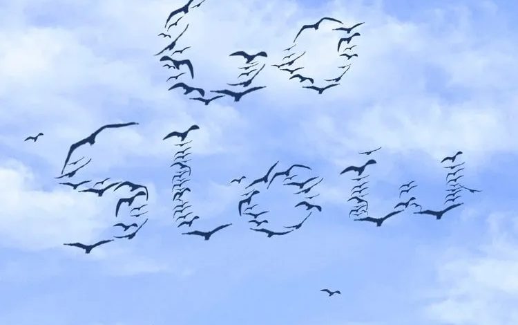 Kweku Darlington - Go Slow