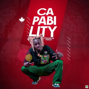 Striker De Donzy - Capability