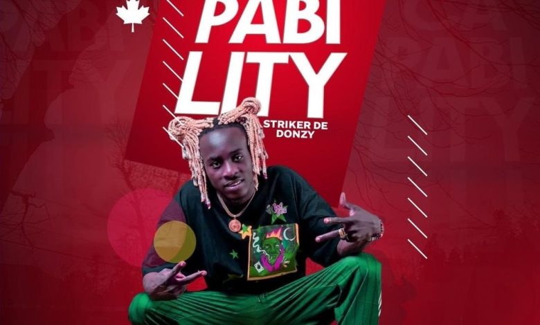 Striker De Donzy - Capability