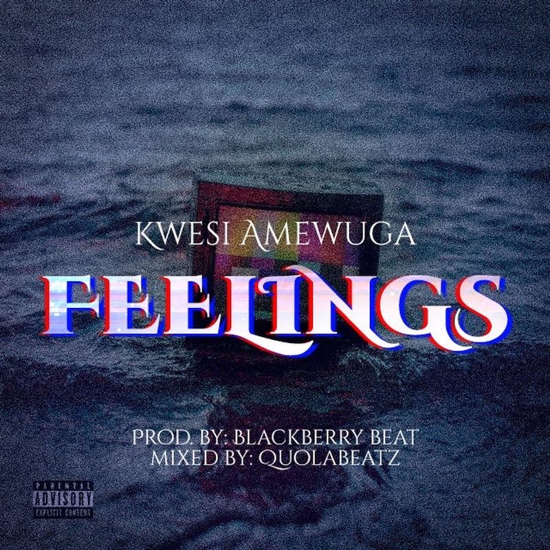 Kwesi Amewuga - Feelings (New Song)