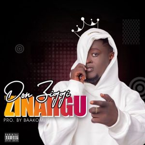 Don Ziggy - Zinahgu (New Song)