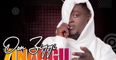 Don Ziggy - Zinahgu (New Song)
