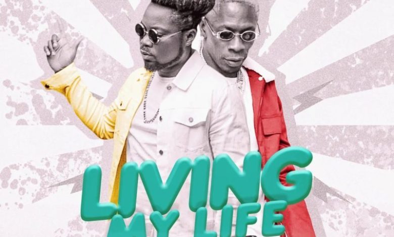 Wutah Kobby - Living My Life Ft Shatta Wale