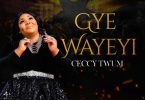 Ceccy Twum - Gye Wayeyi (Worship)
