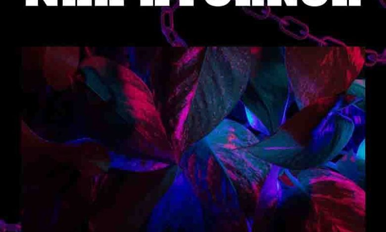 Shaker - Naa Ayorkor