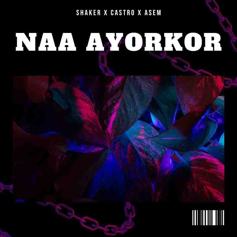 Shaker - Naa Ayorkor