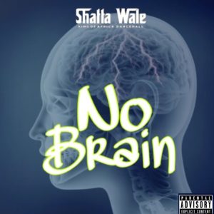 Shatta Wale - No Brain