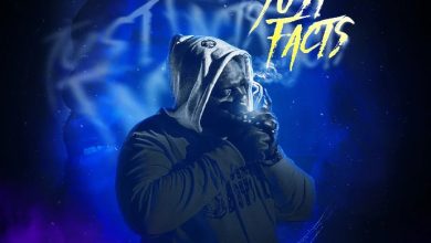 Chronic Law - Just Facts ft Papi Don