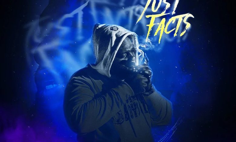Chronic Law - Just Facts ft Papi Don