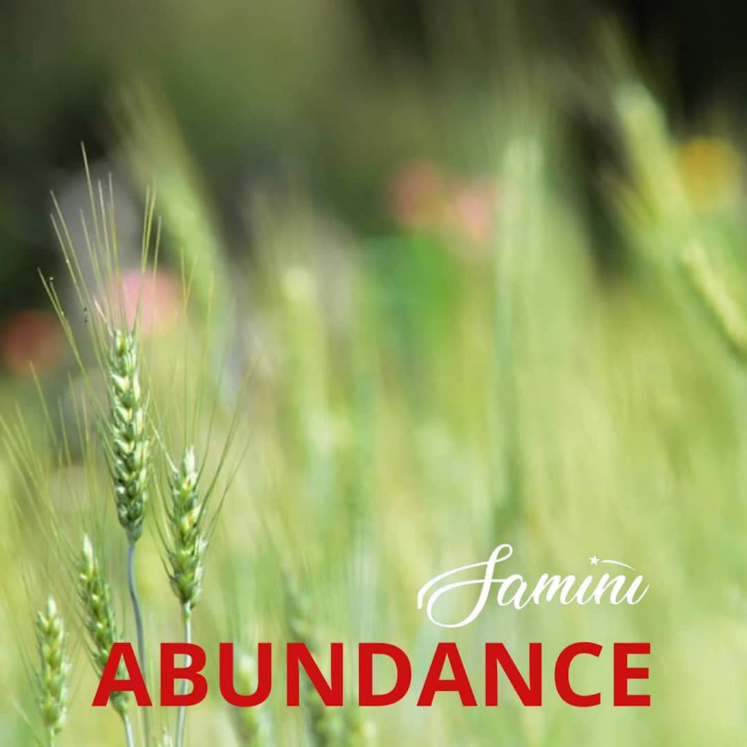 Samini - Abundance
