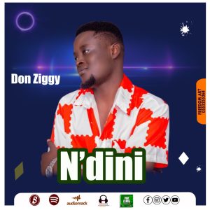 Don Ziggy - Ndini