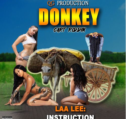 Laa Lee - Instruction