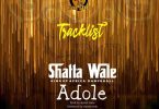 Shatta Wale - Adole