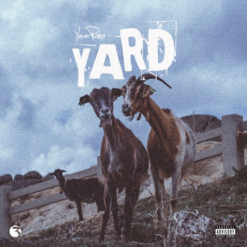 Yaa Pono – Yard (Prod By Fox Beatz)