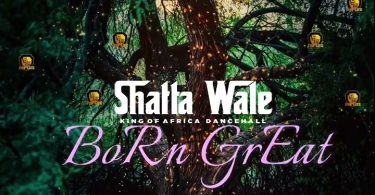 Shatta Wale - Born Great
