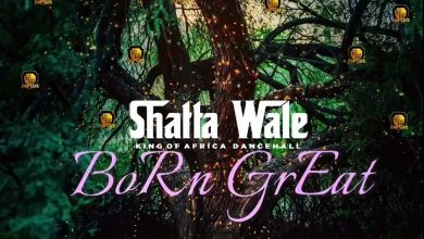 Shatta Wale - Born Great